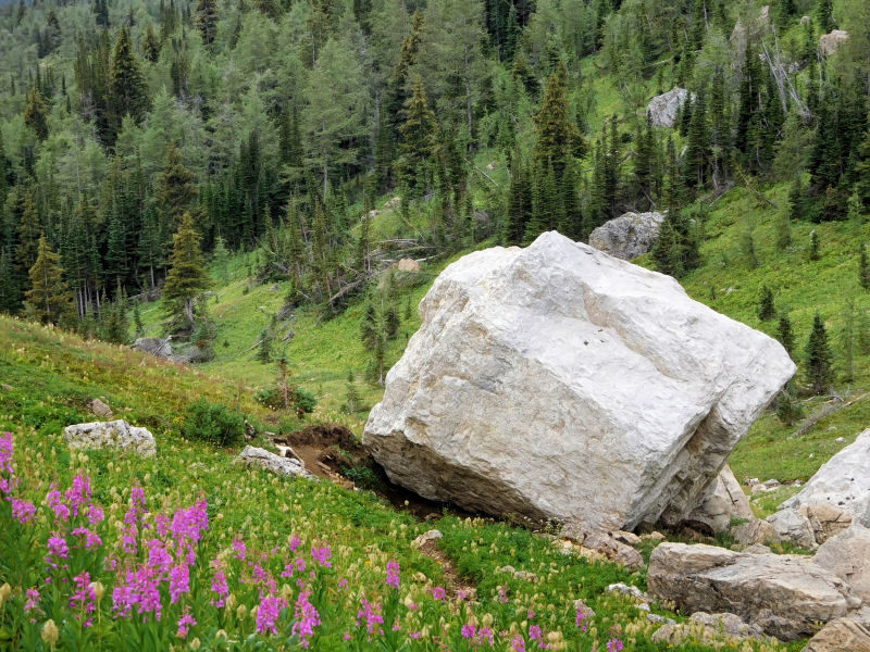 Huge boulder on the trail